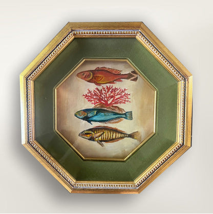 The Collector's Catch