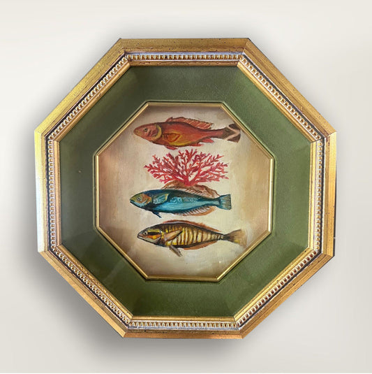 The Collector's Catch