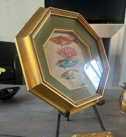 The Collector's Catch